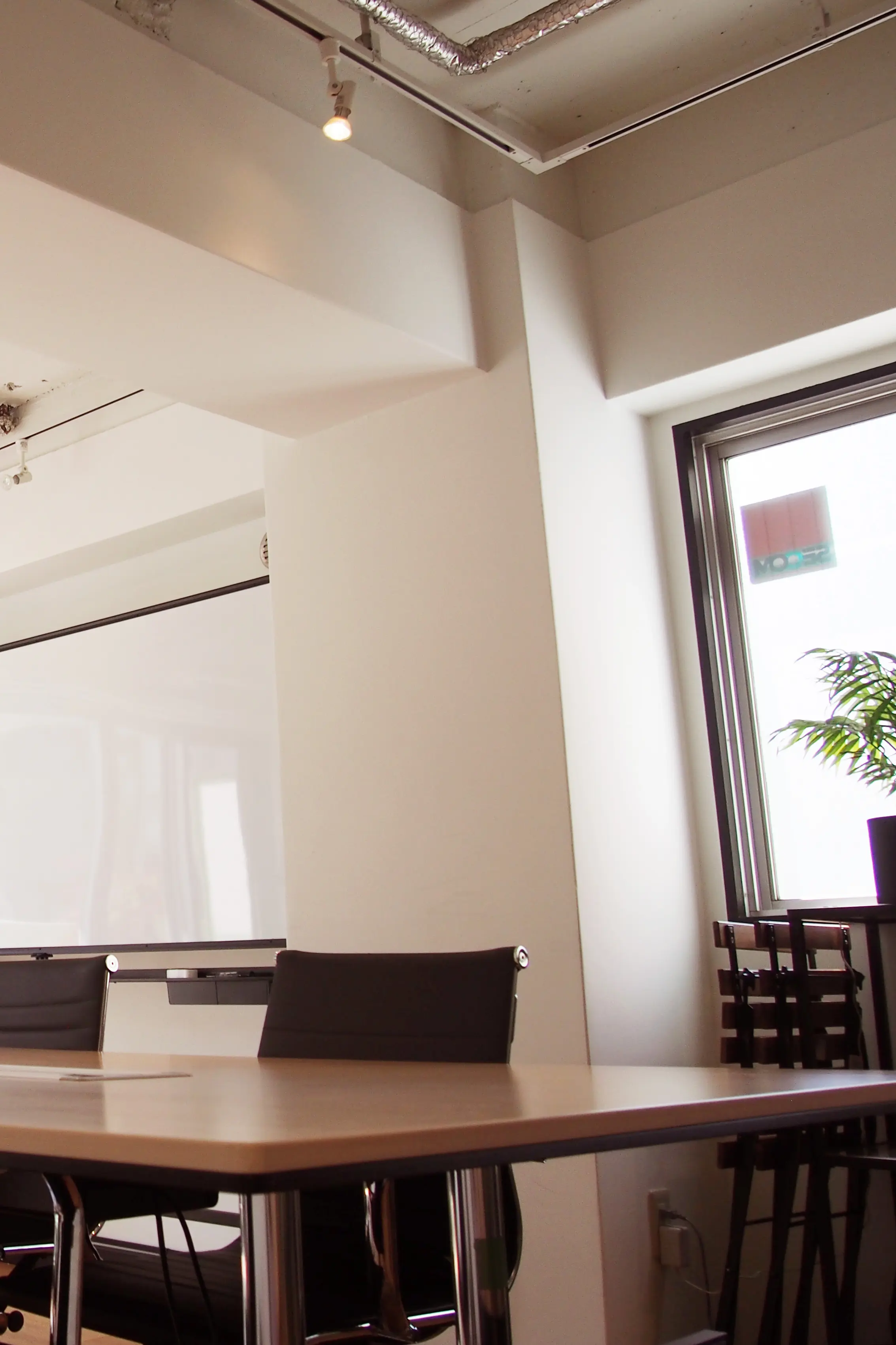 写真：テーブルに置かれた観葉植物